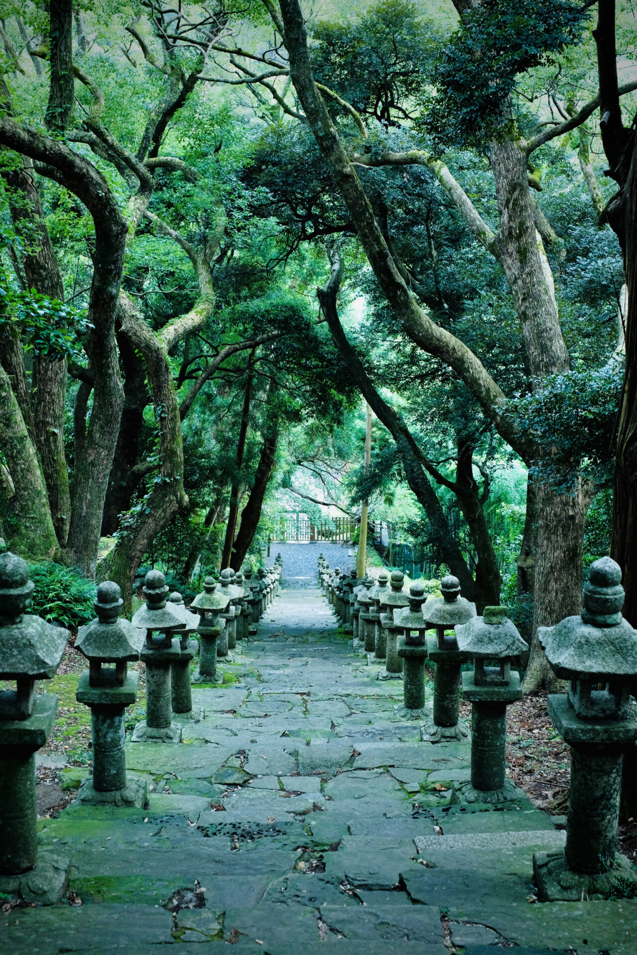 対馬藩主宗家の墓所（万松院）