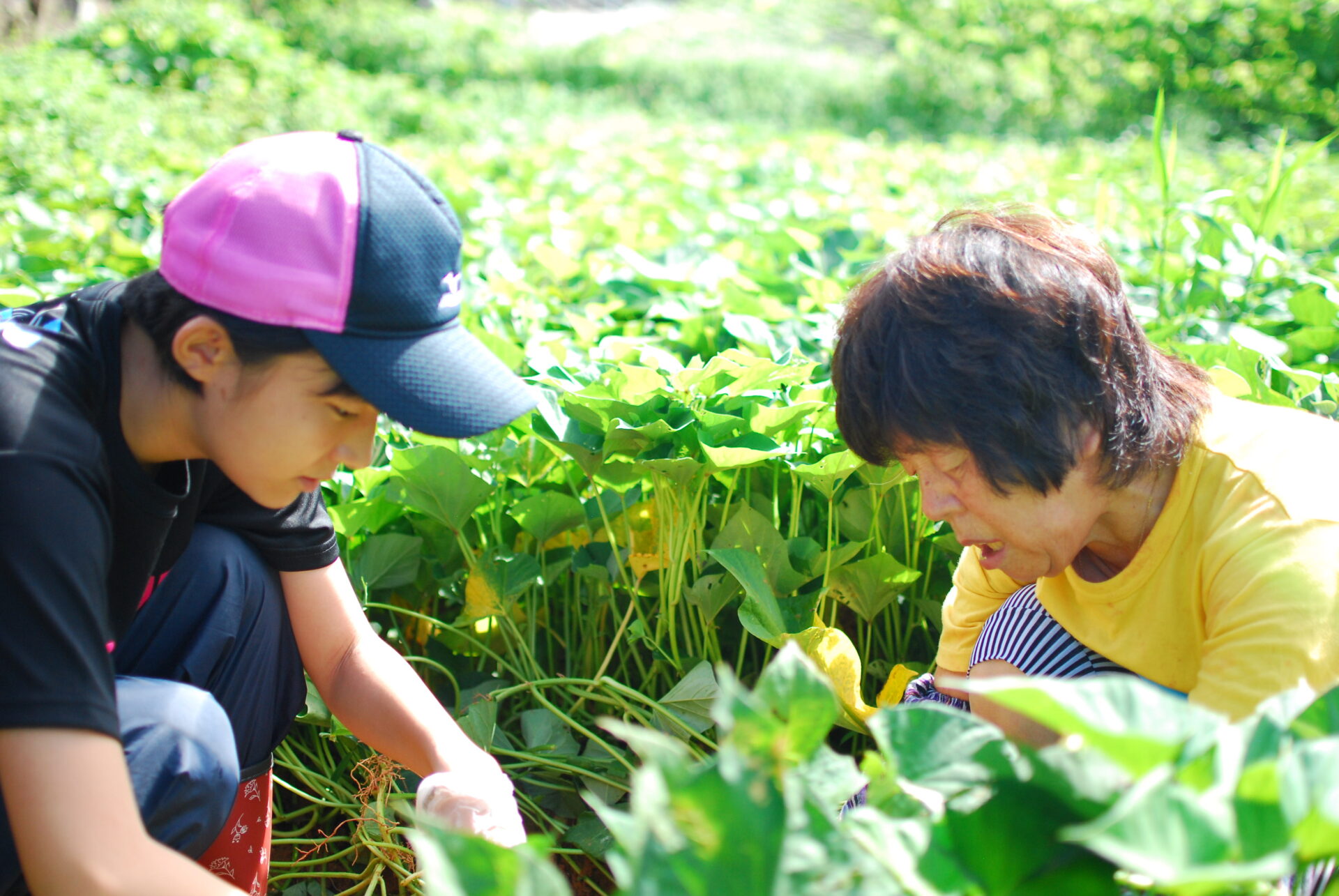 豊かさって何？を考える対馬での農体験